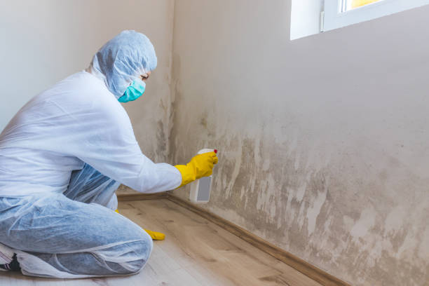 Forensic Mold Investigation in Brunswick, GA